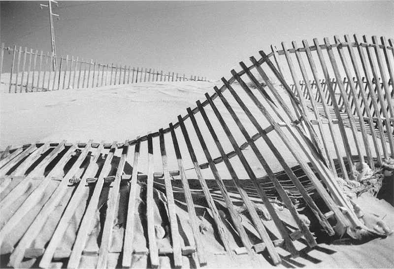 photo_portugal_guincho_dunes1_20-04-02.jpg