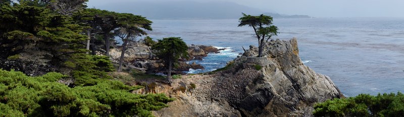 Lone Cypress Tree at Cypress 
Point in Monterey (Nikon D70)
