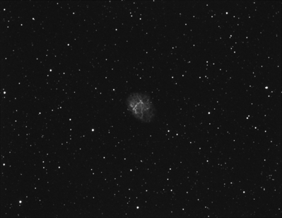 M1 - The Crab Nebula
Astro-Tech 65EDQ 65mm f/6.5 telescope, StarlightXpress MX-716, Astronomik H-Alpha filter, Losmandy G11. 20 x 10 minute integrations, 10 x 10 minute darks, 10 x 1/10th second bias frames. 
